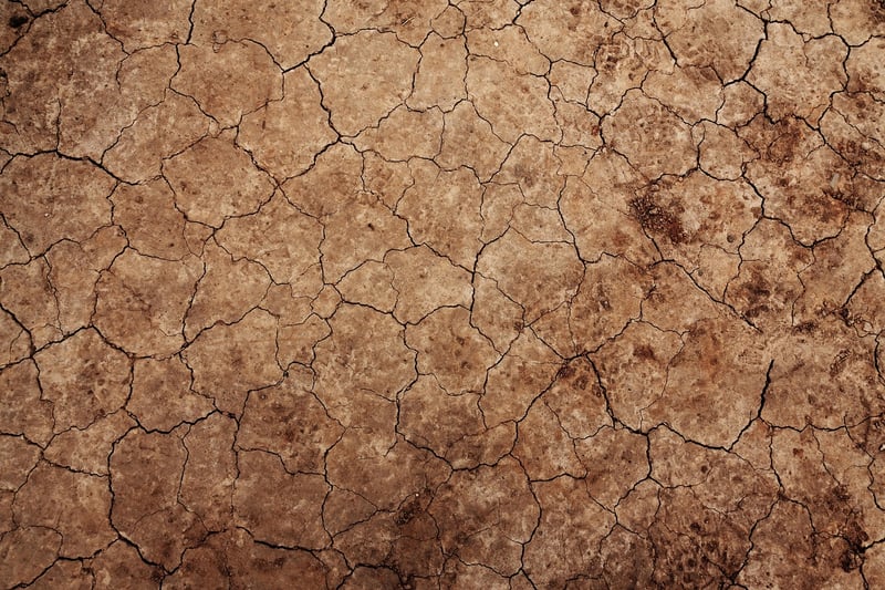 Otherworldly Terrains