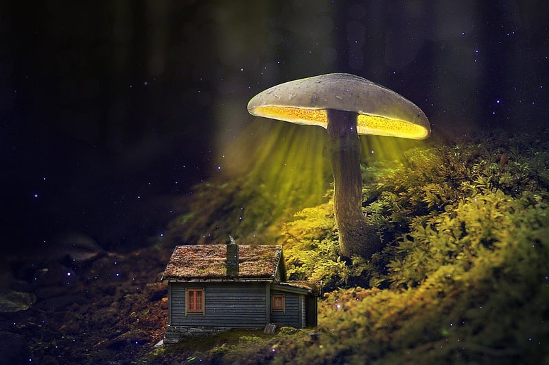 Fantasy Mushroom House