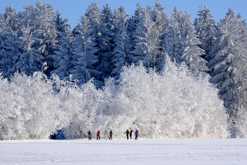 Enchanted Winter Landscape